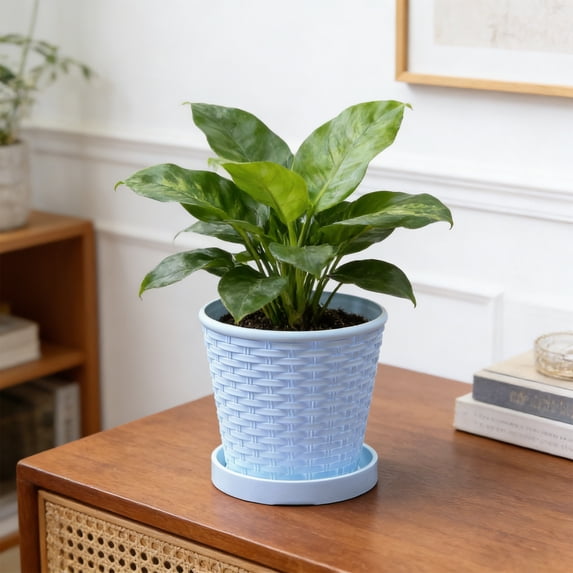 Imitation Bamboo Woven Round Plastic Flower Pot, Shatterproof Lightweight Durable Planter, Breathable Drainage Pot with Tray for Green Plants Succulents Home Indoor Outdoor Decor