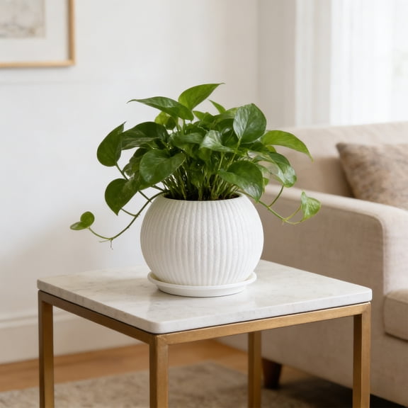 Imitation Plastic Flower Pot 6 Inch,White Striped Planter with Drainage Tray,Lightweight Shatterproof Container for Indoor Outdoor Plants,Succulents,Modern Home Decor,A