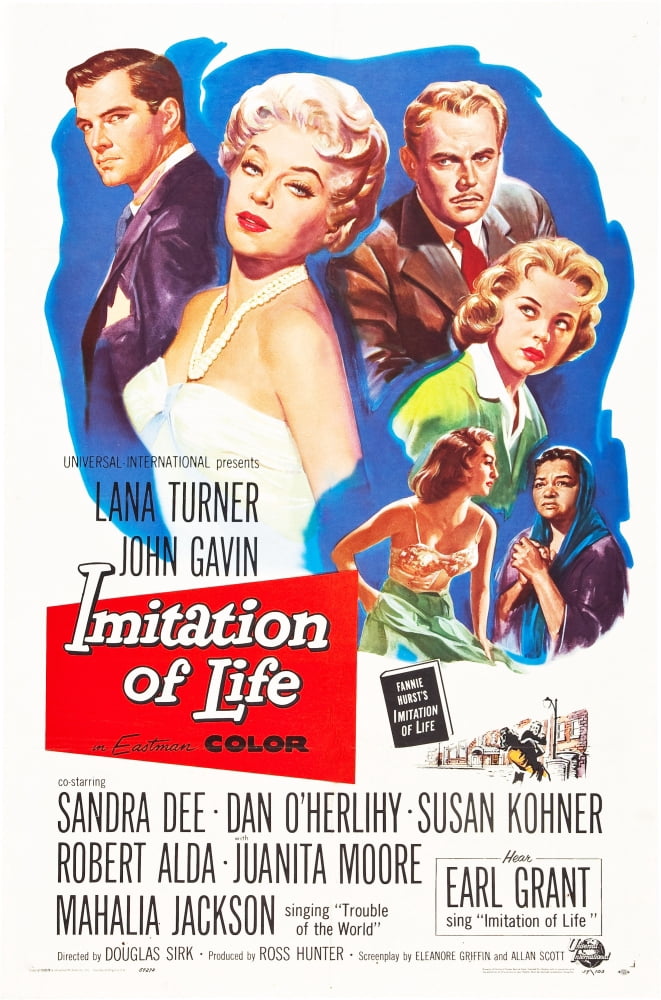 Imitation Of Life Canvas Art - (24 x 36)