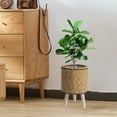 thumbnail image 1 of Imitation Rattan Flower Pot | Plastic Woven Planter | Indoor Desktop Potted Storage Container | Office & Home Decor | Yellow or Coffee Color | 8.46x5.51x5.51 Inches, 1 of 6