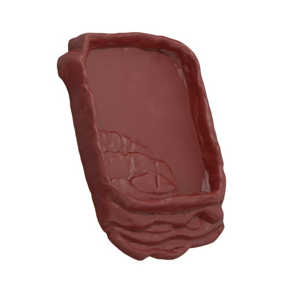 Imitation Rock Reptiles Dish AntiSlip Ramps Feeding Watering Station For Small Reptiles Hermits Easy Maintenances