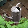 thumbnail image 1 of Imitation Watering Can , 60oz Decorative Countryside Style Water Can with Removable Spout for Outdoor Indoor, 1 of 3