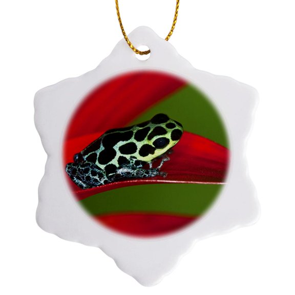 3drose, Imitator Poison-dart Frog - Na02 Aje0437 - Adam Jones, 3 inch Snowflake Porcelain Ornament