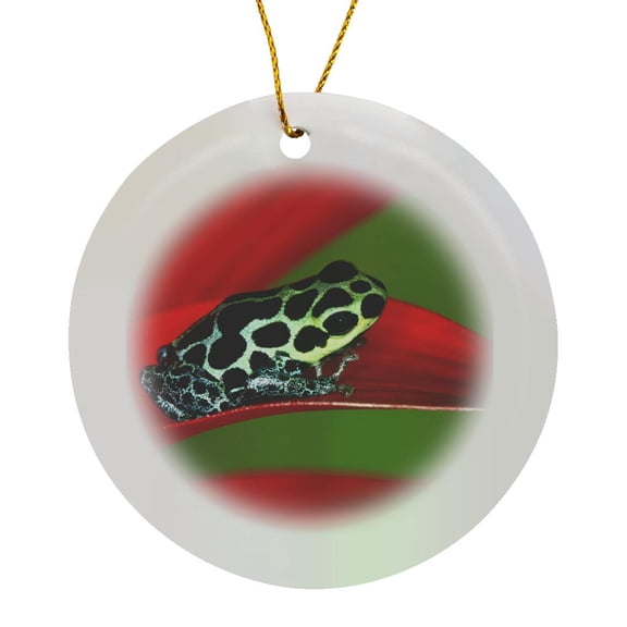 3drose, Imitator Poison-dart Frog - Na02 Aje0437 - Adam Jones, Circle Porcelain Ornament