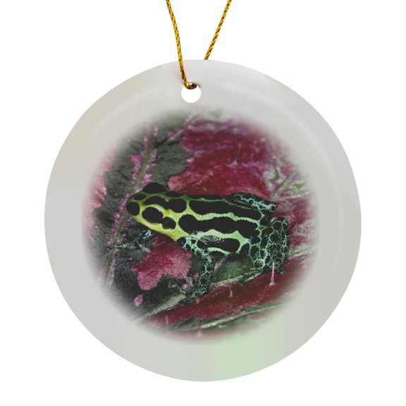 3drose, Imitator Poison-dart Frog - Na02 Aje0438 - Adam Jones, Circle Porcelain Ornament