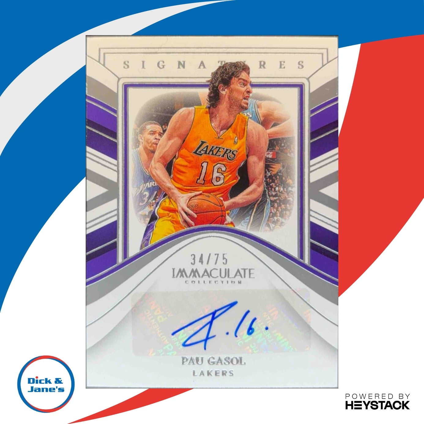 Immaculate Panini