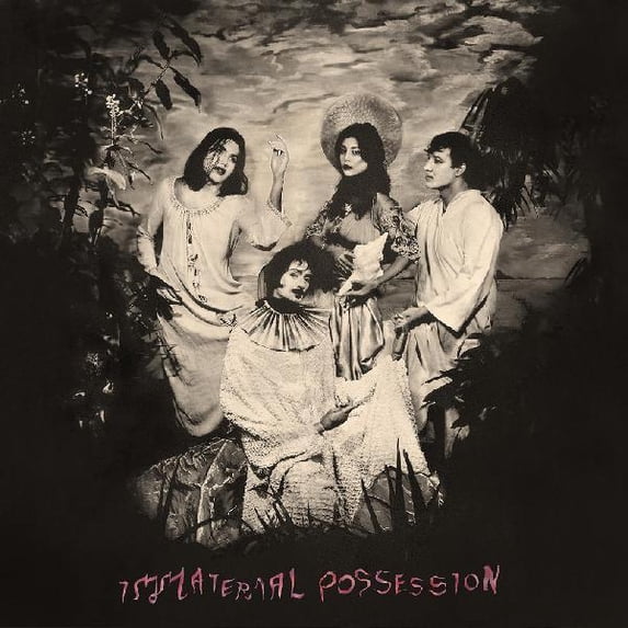Immaterial Possession - Immaterial Possession - Music & Performance - Vinyl