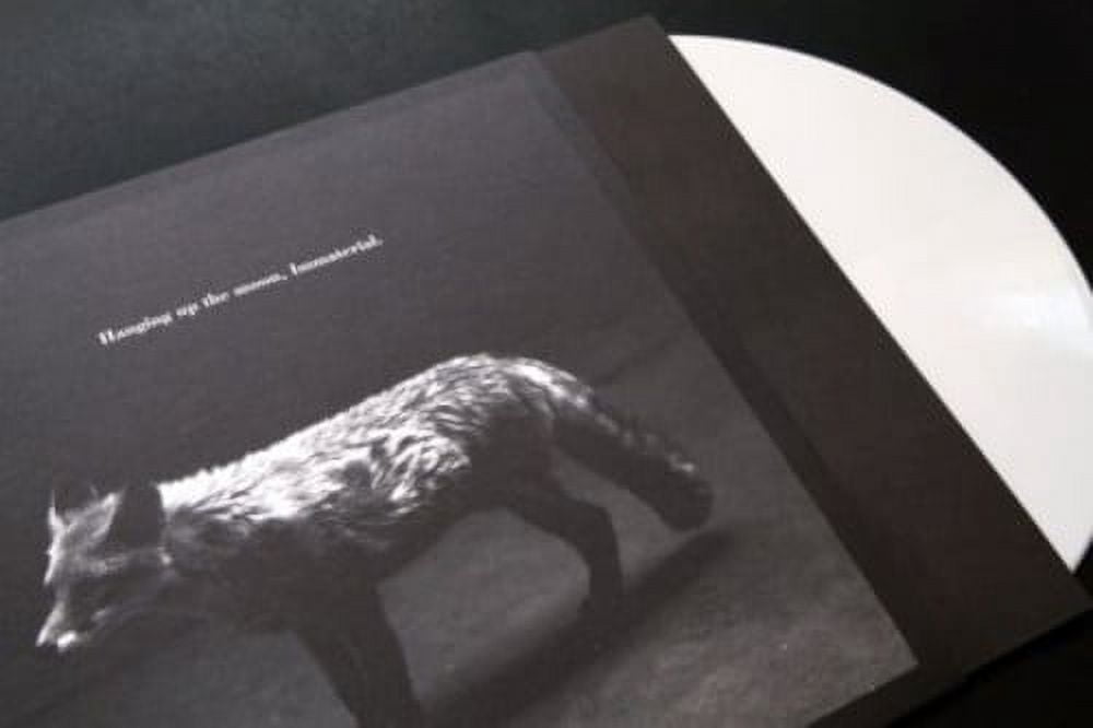 Hanging Up the Moon - Immaterial - Music & Performance - CD