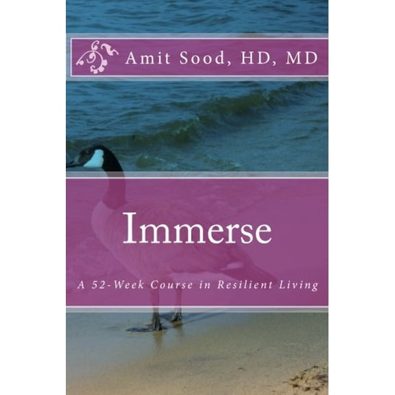 Pre-Owned Immerse: A 52-Week Course in Resilient Living: A Commitment to Live With Intentionality, Deeper Presence, Contentment, and Kindness. (Paperback) 0692615415 9780692615416