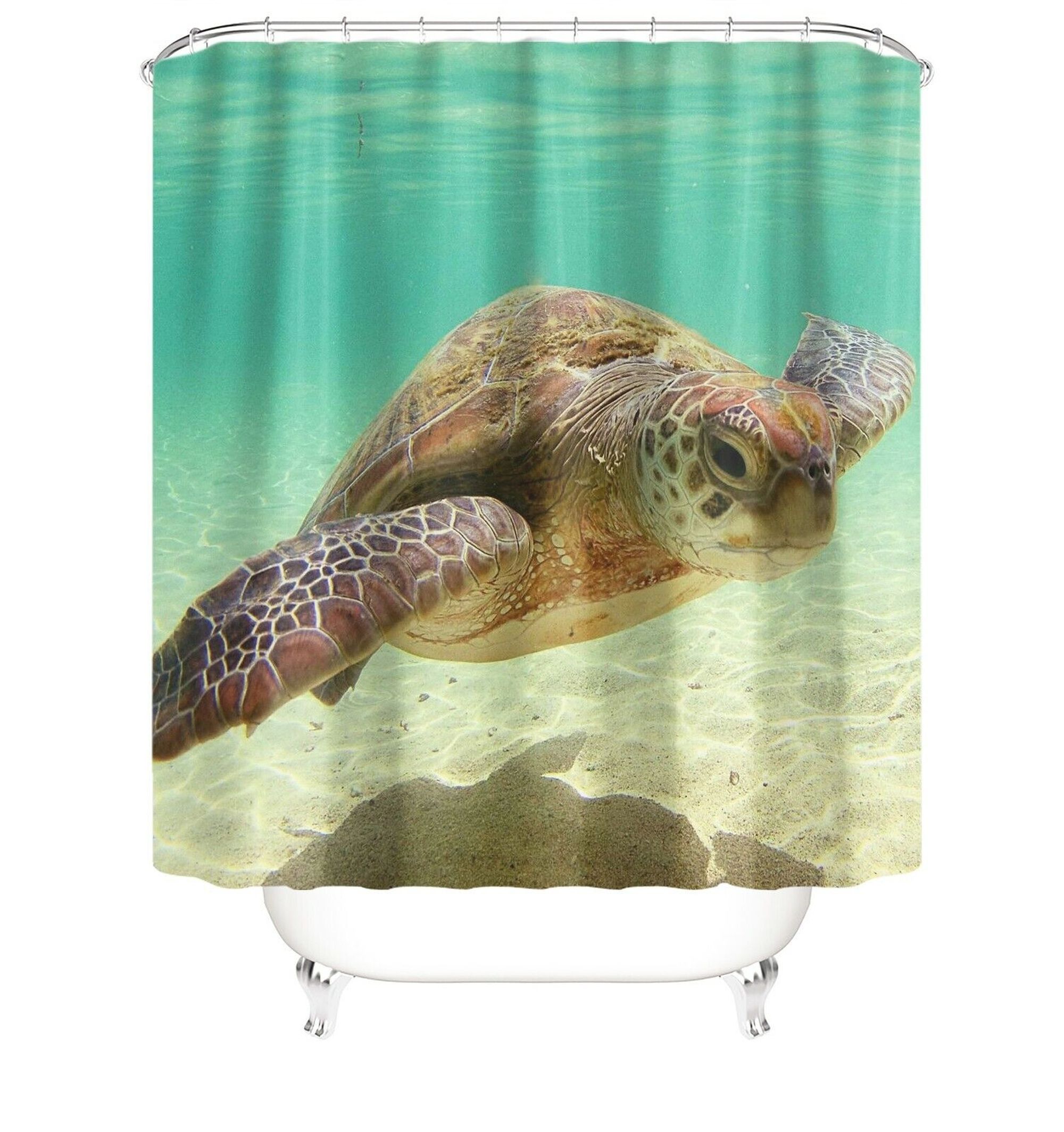 Immerse Yourself: Dive into Serenity with the Coastal Charm Underwater 