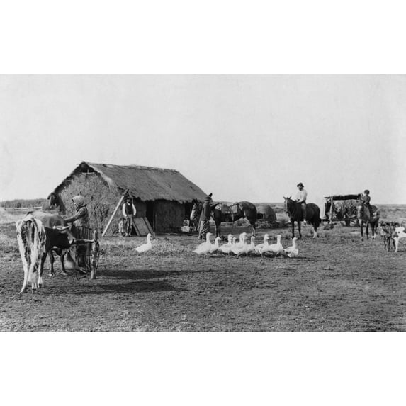Immigrant'S Home Of Primitive Construction In Rural Argentina History (24 x 18)