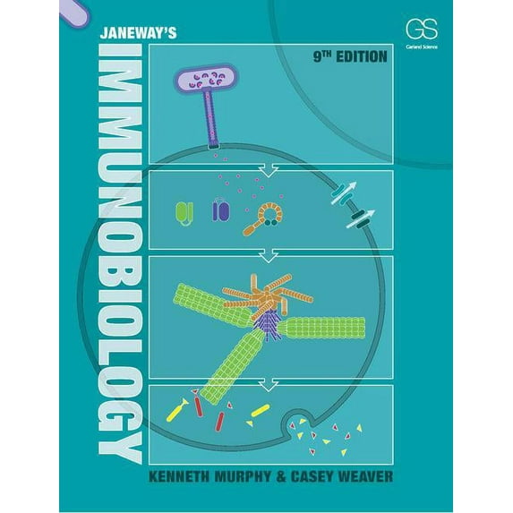 Immunology (Paperback) by Kenneth Murphy
