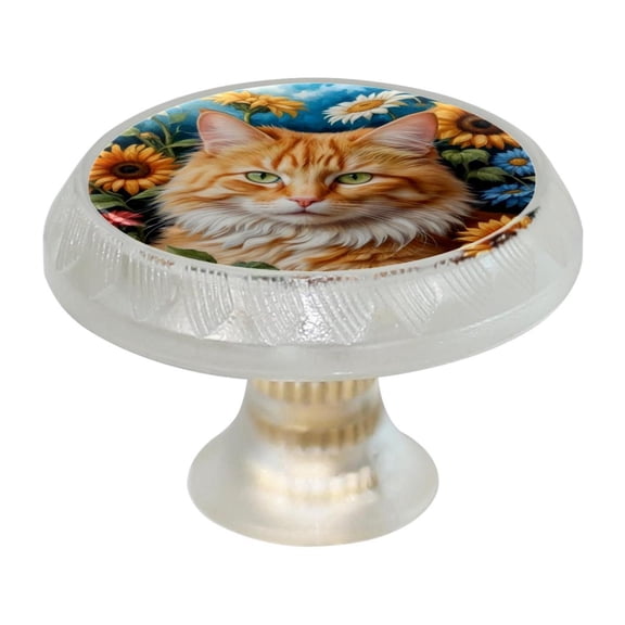 Imobaby 4 Pcs Plastic Round Cabinet Knob Home Decor - Handsome Orange Cat Flower