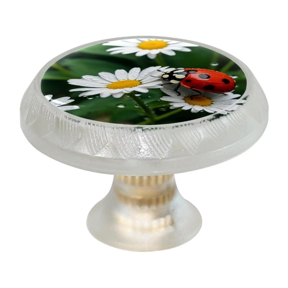 Imobaby 4 Pcs Plastic Round Cabinet Knob Home Decor - Ladybug Daisy White