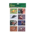 thumbnail image 1 of Impact Photographics IMP252SHS Sticker Sheet Birds North America, 1 of 1