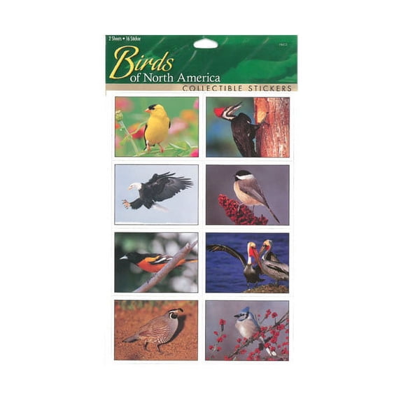 Impact Photographics IMP252SHS Sticker Sheet Birds North America
