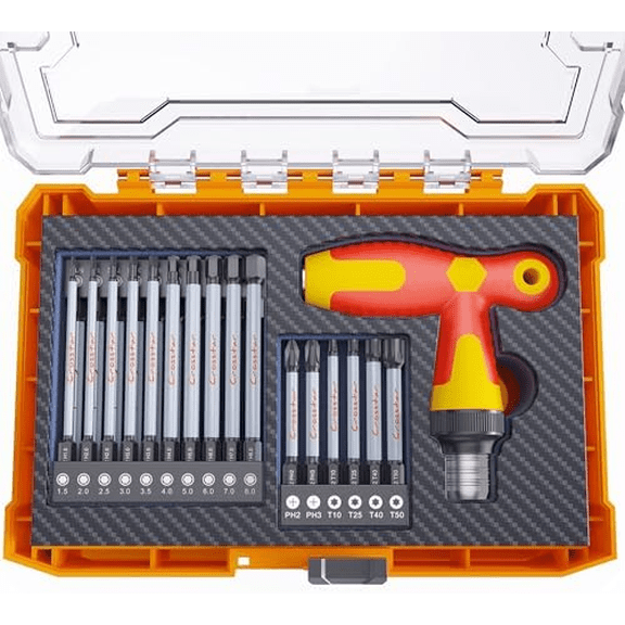 Impact-Rated 30-Piece Interchangeable Ratcheting T-Handle Set SAE, Metric, Hex, Torx, Phillips Magnetic Bits with Holder & Torsion Zone, 4/3 Long S2 Steel Bits in Storage Case