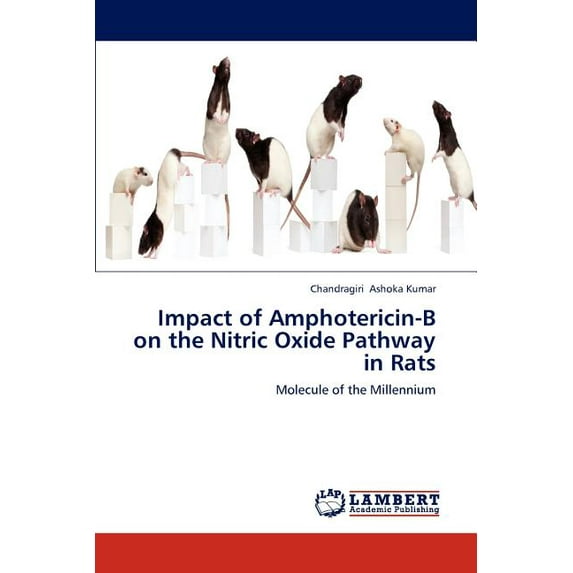 Impact of Amphotericin-B on the Nitric Oxide Pathway in Rats