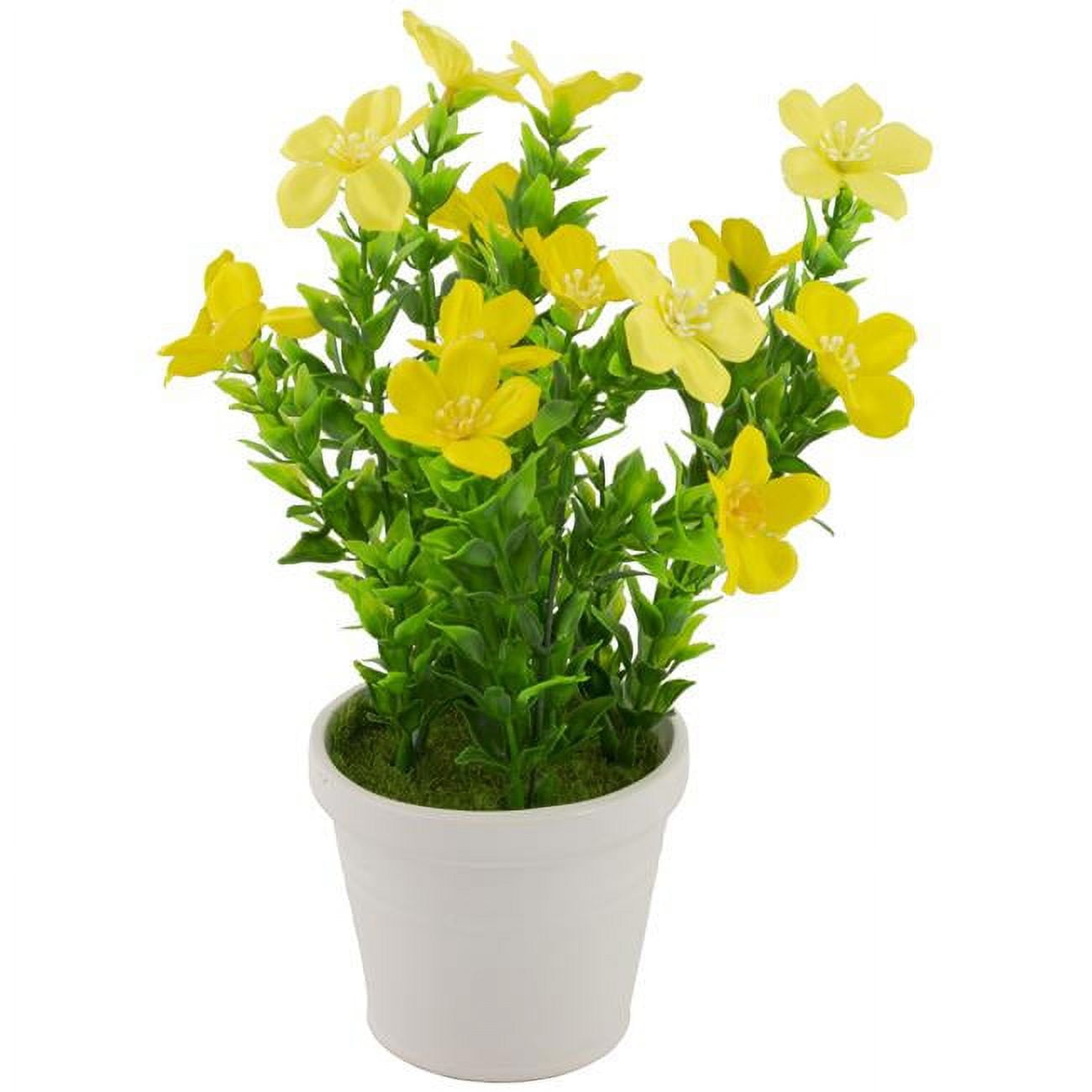 Impatiens Potted Plant, Yellow