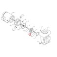 thumbnail image 1 of Impeller Washer for 20 HP Pump, 1 of 1