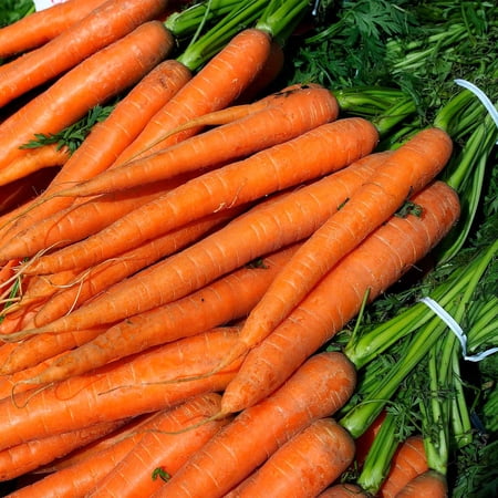 Imperator 58 Carrot Seeds - 1 Oz - Non-GMO, Heirloom Vegetable Garden Seeds - AAS Winner - Gardening
