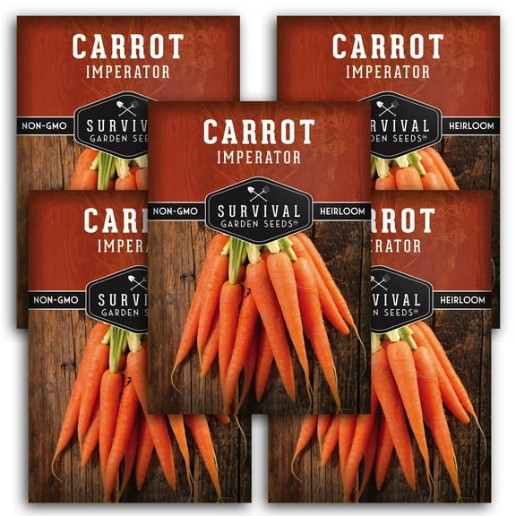 Imperator 58 Carrot Seeds - 5 Pack - Non-GMO Heirloom Full Sun Biennial Vegetable