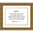 thumbnail image 1 of Imperfect Dust 24x19 Gold Ornate Wood Framed with Double Matting Museum Art Print Titled - Mercies, 1 of 4