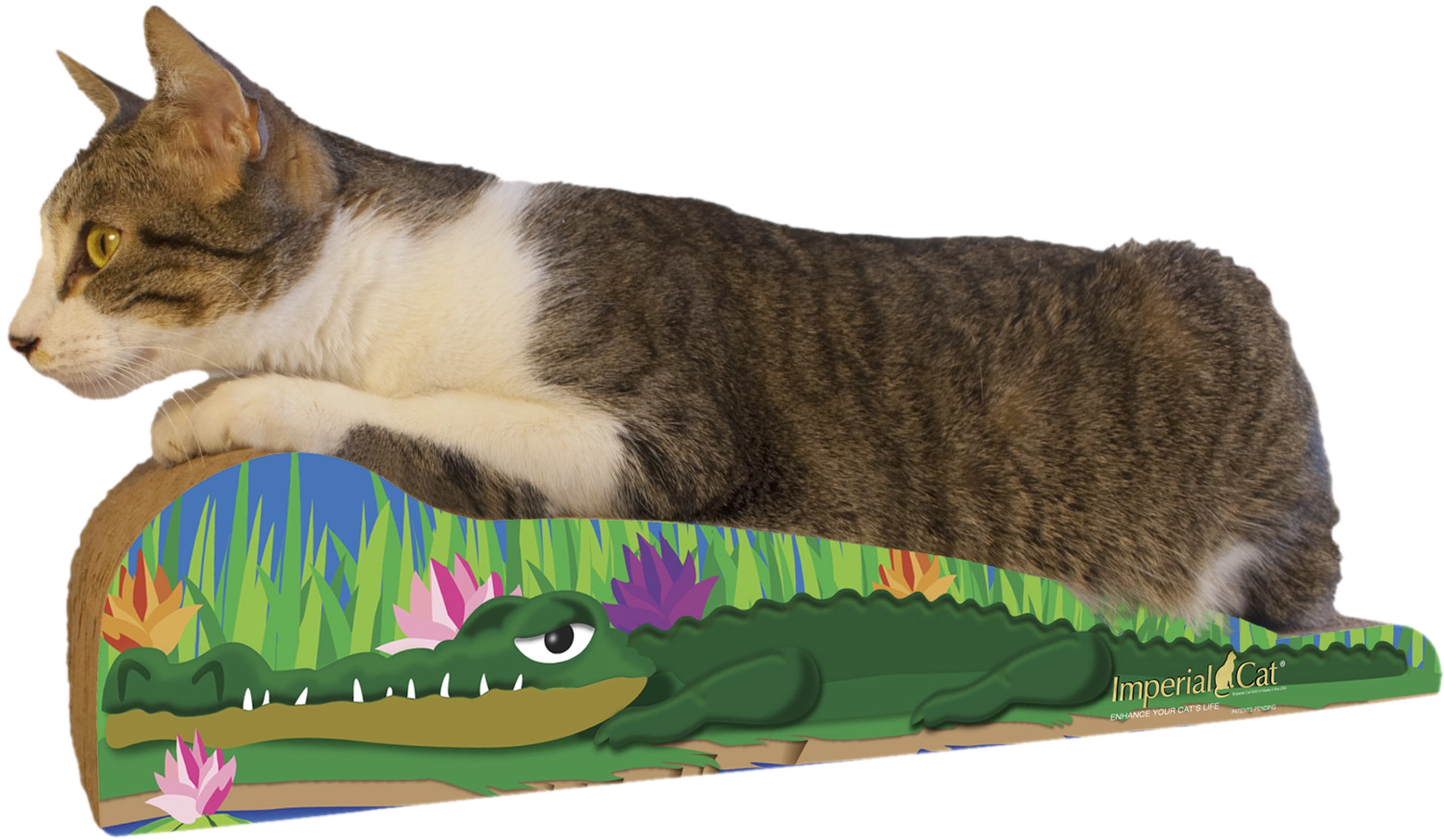 Imperial Cat Scratch n Shapes Crocodile Walmart