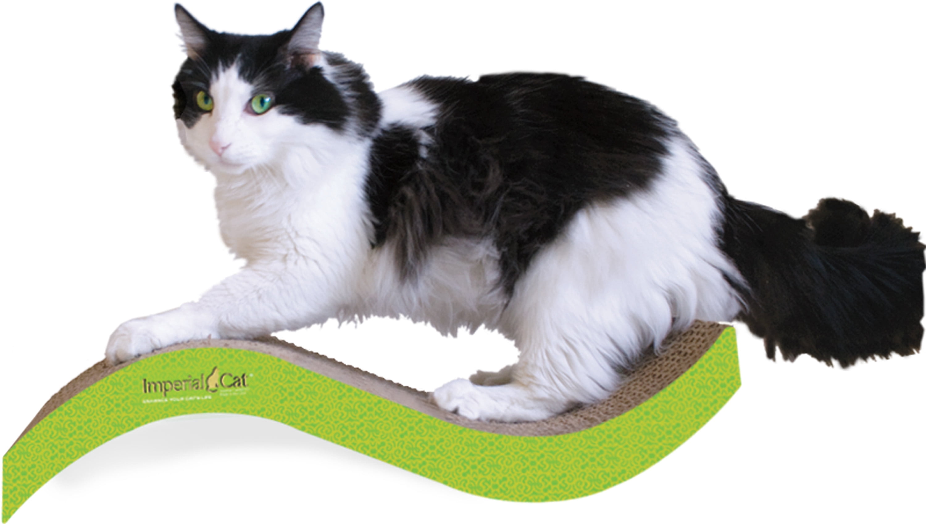 Imperial Cat Scratch 'n Shapes Medium Purrfect Stretch