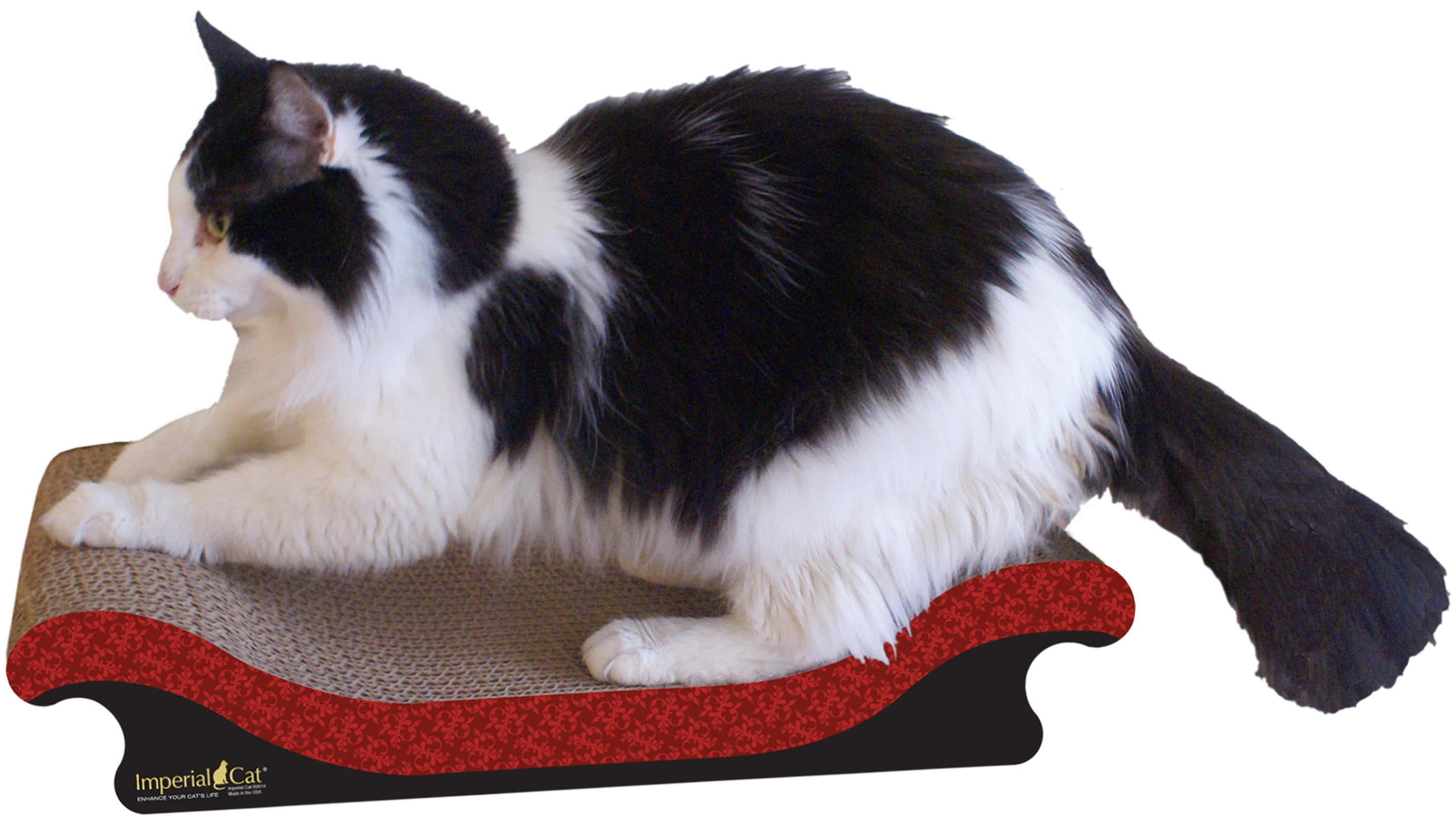 Imperial Cat Scratch 'n Shapes Scoop