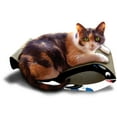 thumbnail image 1 of Imperial Cat Scratch 'n Shapes Small Whale, 1 of 2