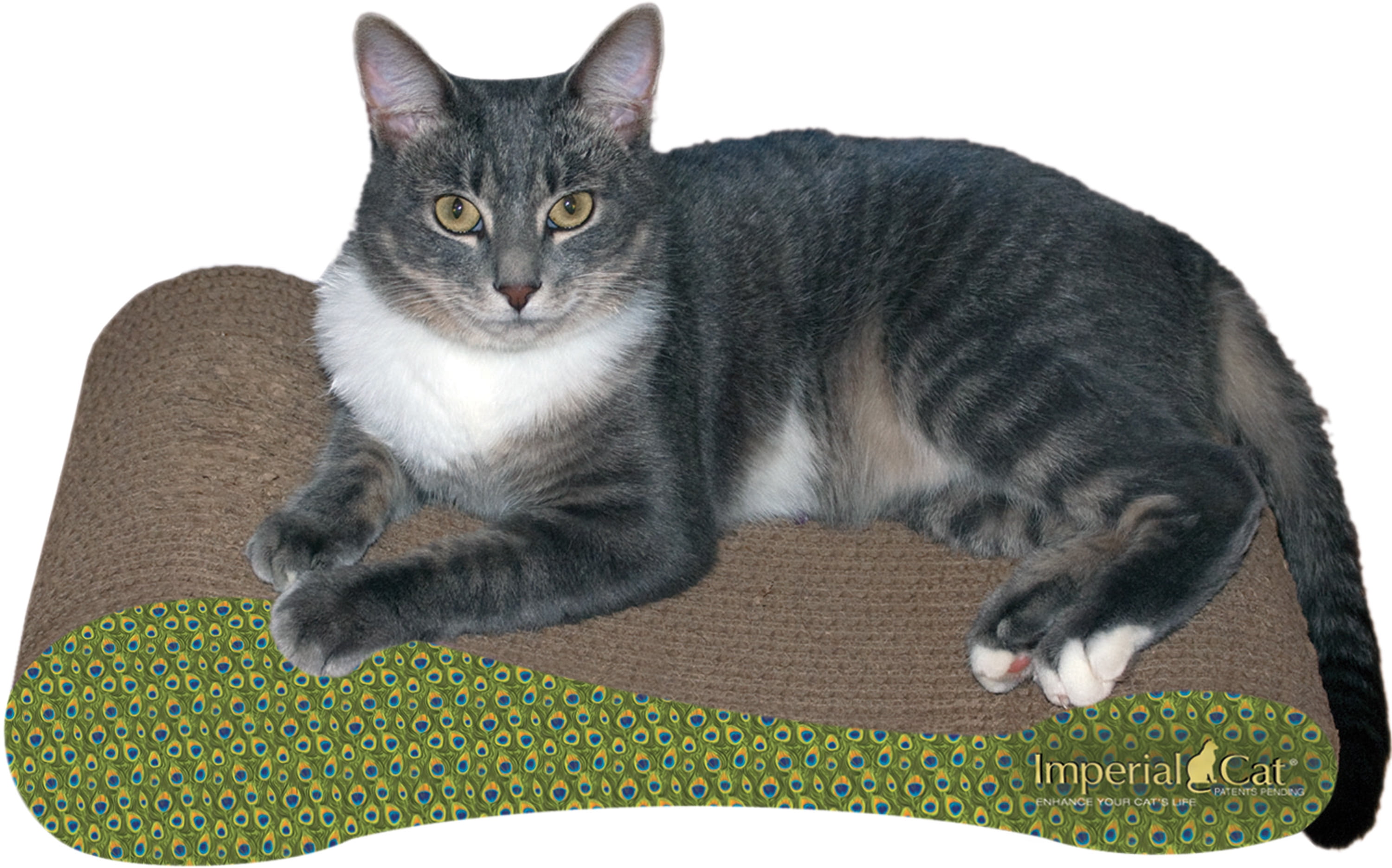 Imperial Cat Scratch 'n Shapes The Sophia