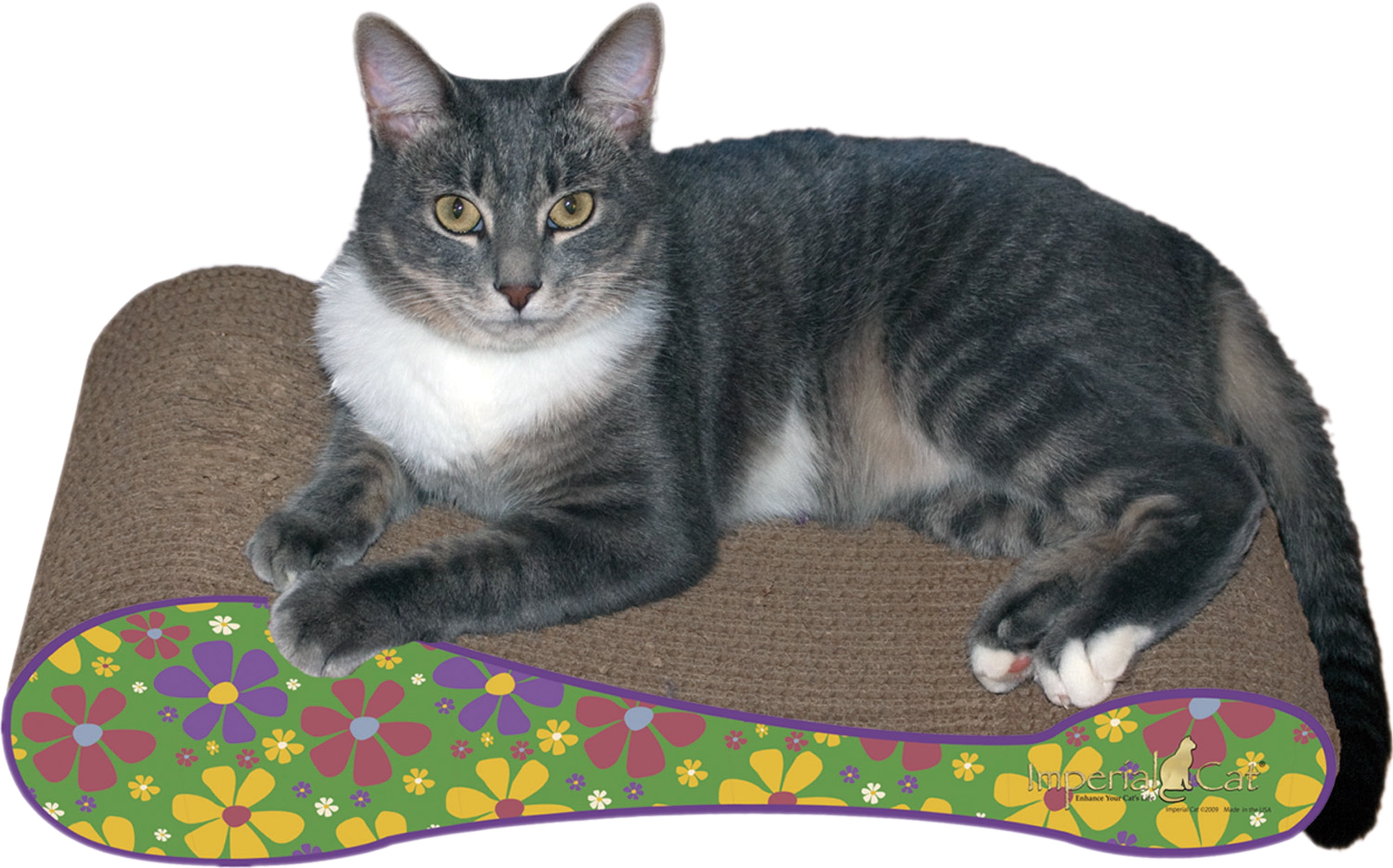 Imperial Cat Scratch 'n Shapes The Sophia