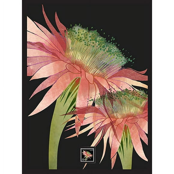 Imperial Mint Triangle Cactus Framed Artwork w/ Postage Stamp