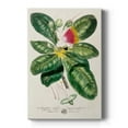 thumbnail image 1 of Imperial Tropical Botanical I Premium Gallery Wrapped Canvas - Ready to Hang, 1 of 9