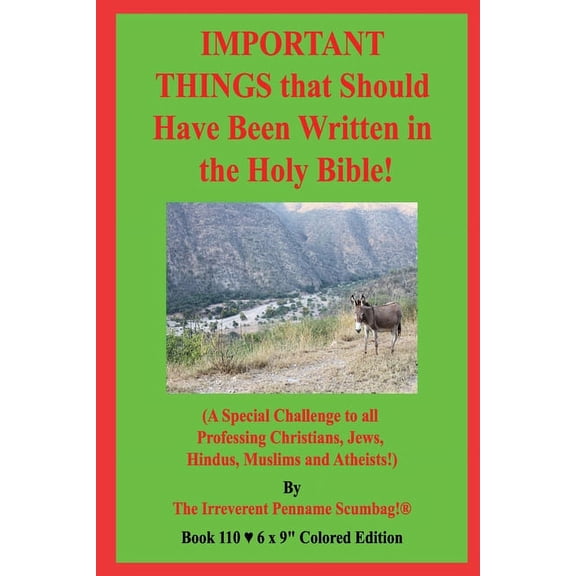 IMPORTANT THINGS that Should Have Been Written in the Holy Bible!: (A Special Challenge to all Professing Christians, Je, (Paperback)