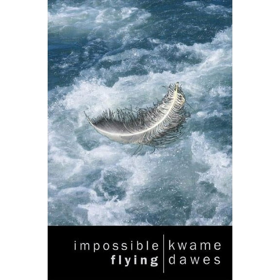 Impossible Flying (Paperback)