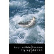 Impossible Flying (Paperback)