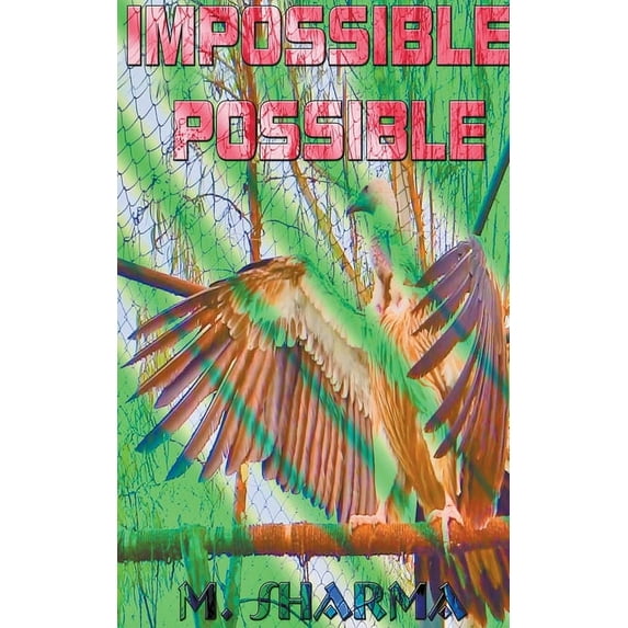 Impossible Possible (Paperback)
