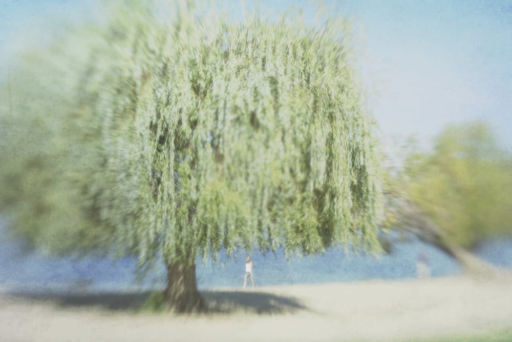 Impressionistic Photo Of A Woman Walking On The Beach Kelowna British Columbia Canada Canvas Art - Roberta Murray Design Pics (19 x 12)