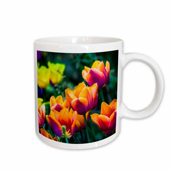 3drose, Impressive Orange, Purple Tulips on a Flowerbed, Colors of Spring, 11oz Mug