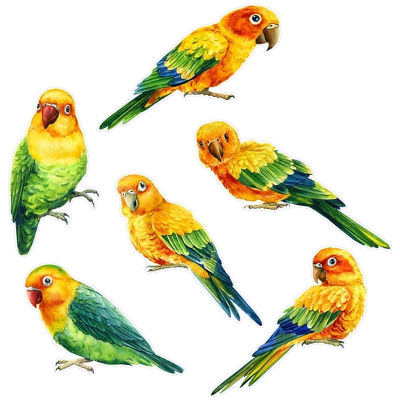 Improve Safety and Beautifys Home Offices with Bird Safe Window Decals Static Electricity Stickers Suitable for Any Home