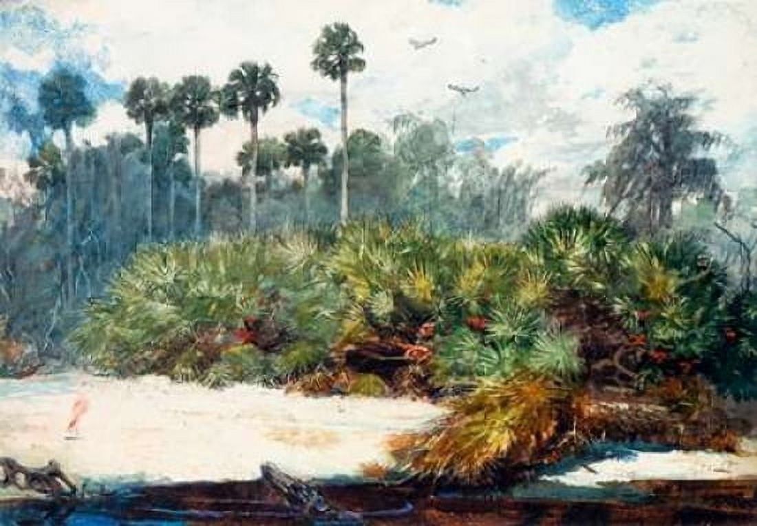 In A Florida Jungle Canvas Art - Winslow Homer (20 x 28)