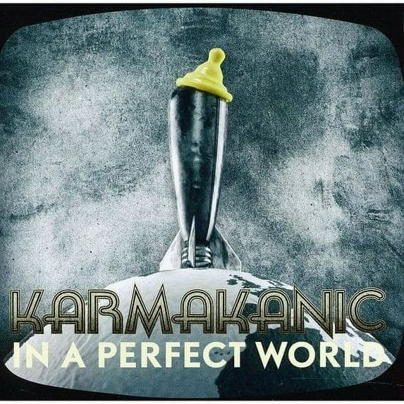 In A Perfect World (Bonus Track)