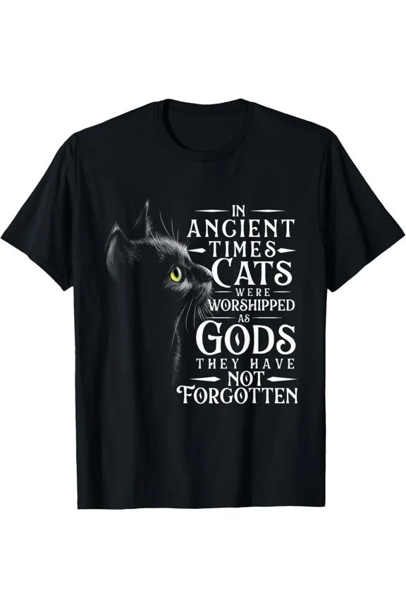 In Ancient Times Cats Were Worshipped As Gods Funny Pet Unisex T-Shirt, up to size 5XL