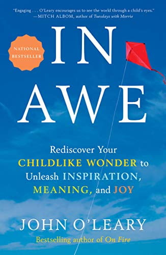 Pre-Owned In Awe: Rediscover Your Childlike Wonder to Unleash Inspiration, Meaning, and Joy (Hardcover) 059313544X 9780593135440