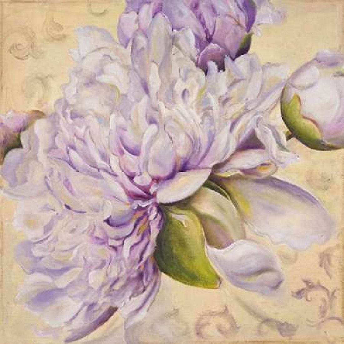 In Bloom I Canvas Art - Patricia Pinto (24 x 24)