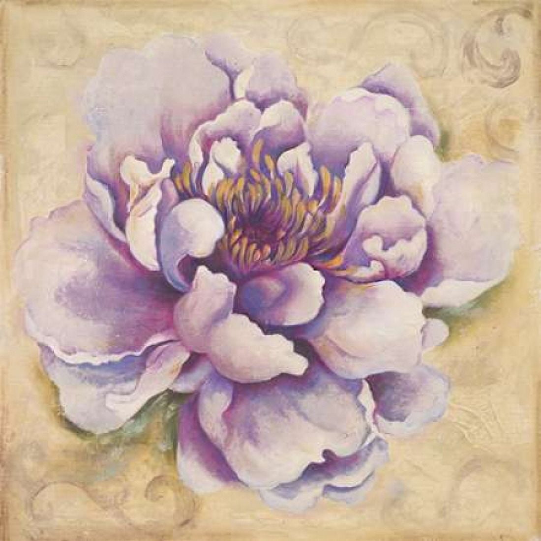 In Bloom II Canvas Art - Patricia Pinto (24 x 24)