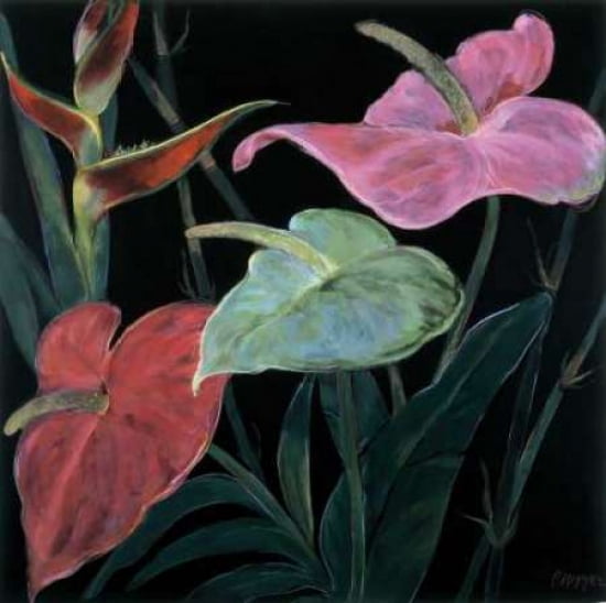 In Bloom II Canvas Art - Pegge Hopper (24 x 24)