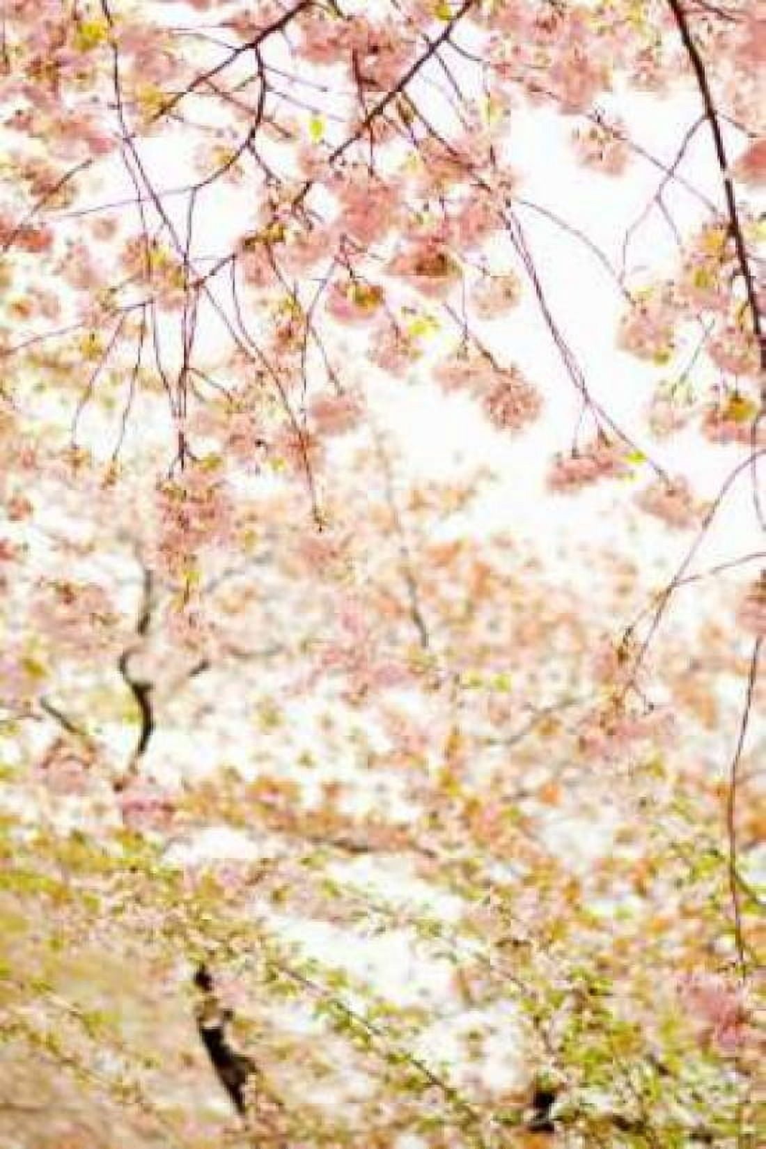 In Bloom XVIII Canvas Art - Karyn Millet (24 x 36)